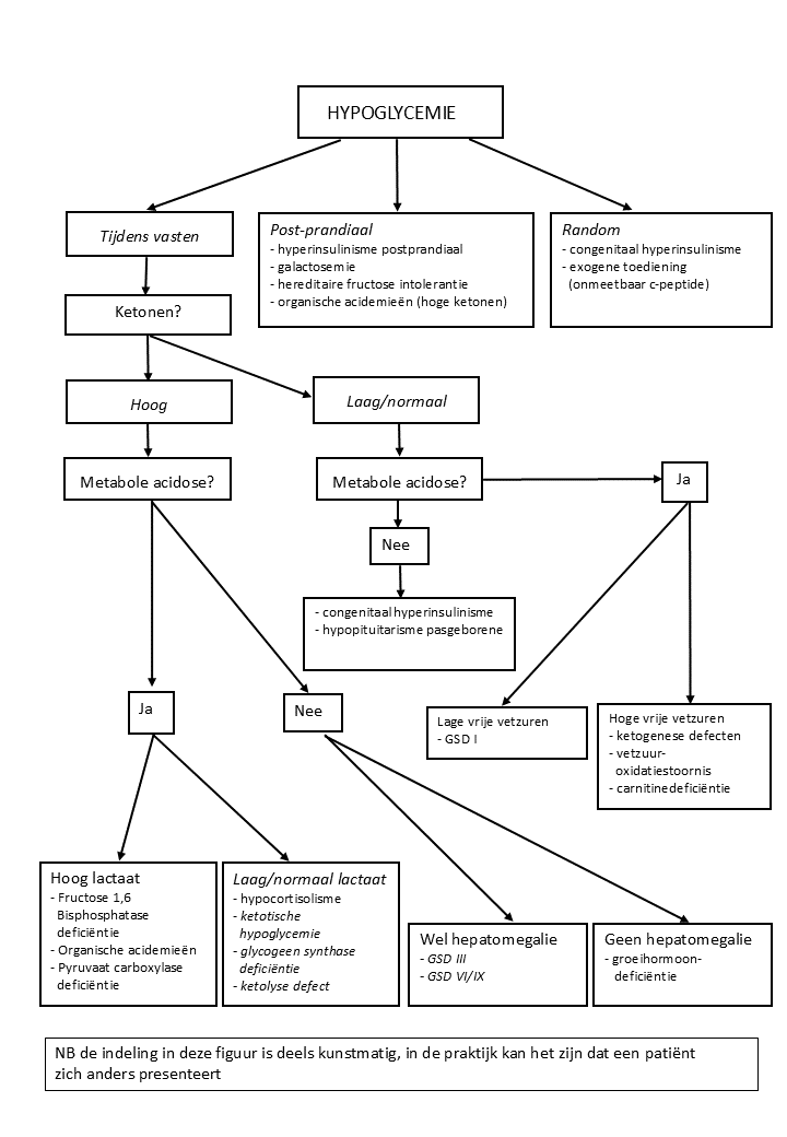 A diagram of a plant AI-generated content may be incorrect.