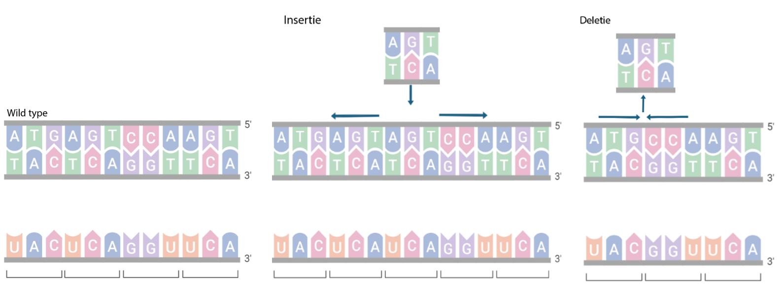 Afbeelding met schermopname, lijn, diagram, tekst Automatisch gegenereerde beschrijving